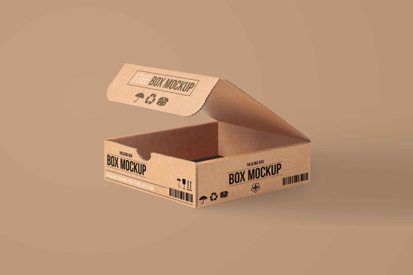 Carton Packaging Box Mockup