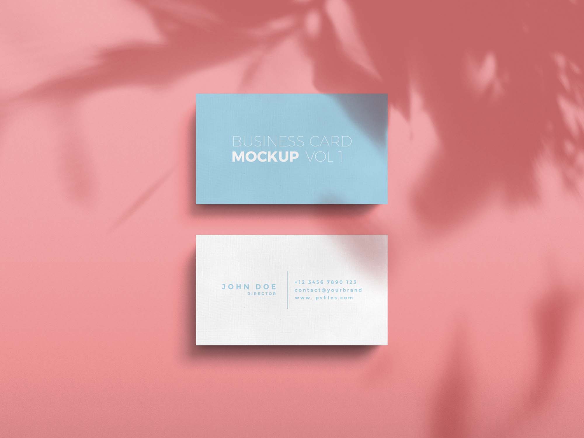 Realistic Business Card Mockup With Shadow For