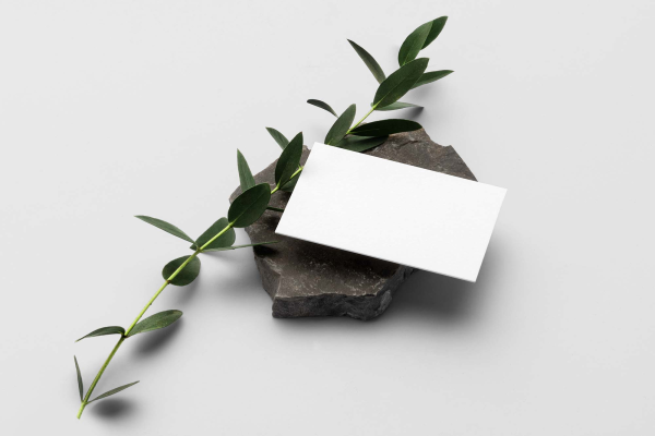 Business Card with Branch on the Stone Mockup