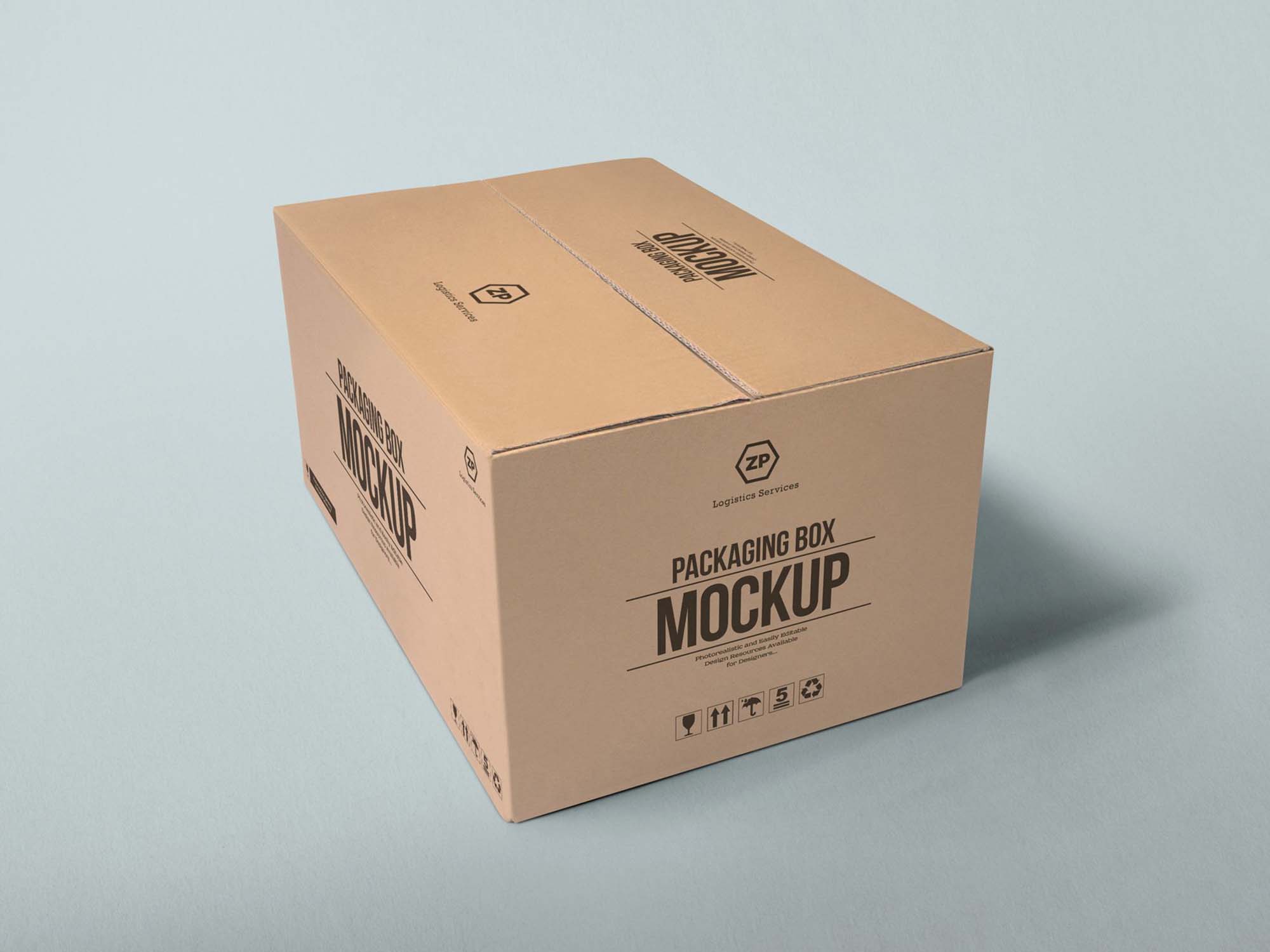 Large Packaging Box Mockup