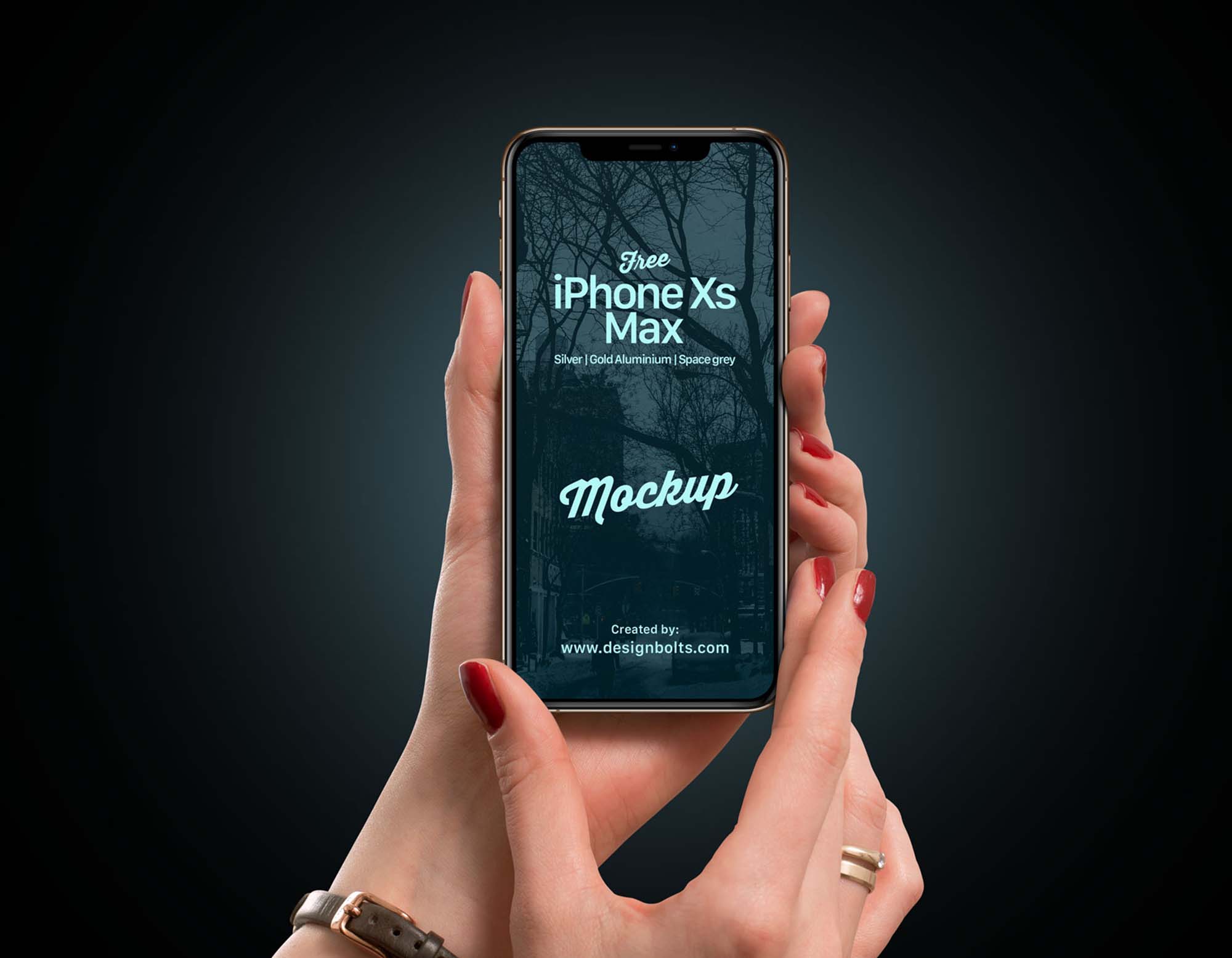 iPhone Xs Max in Hand Mockup