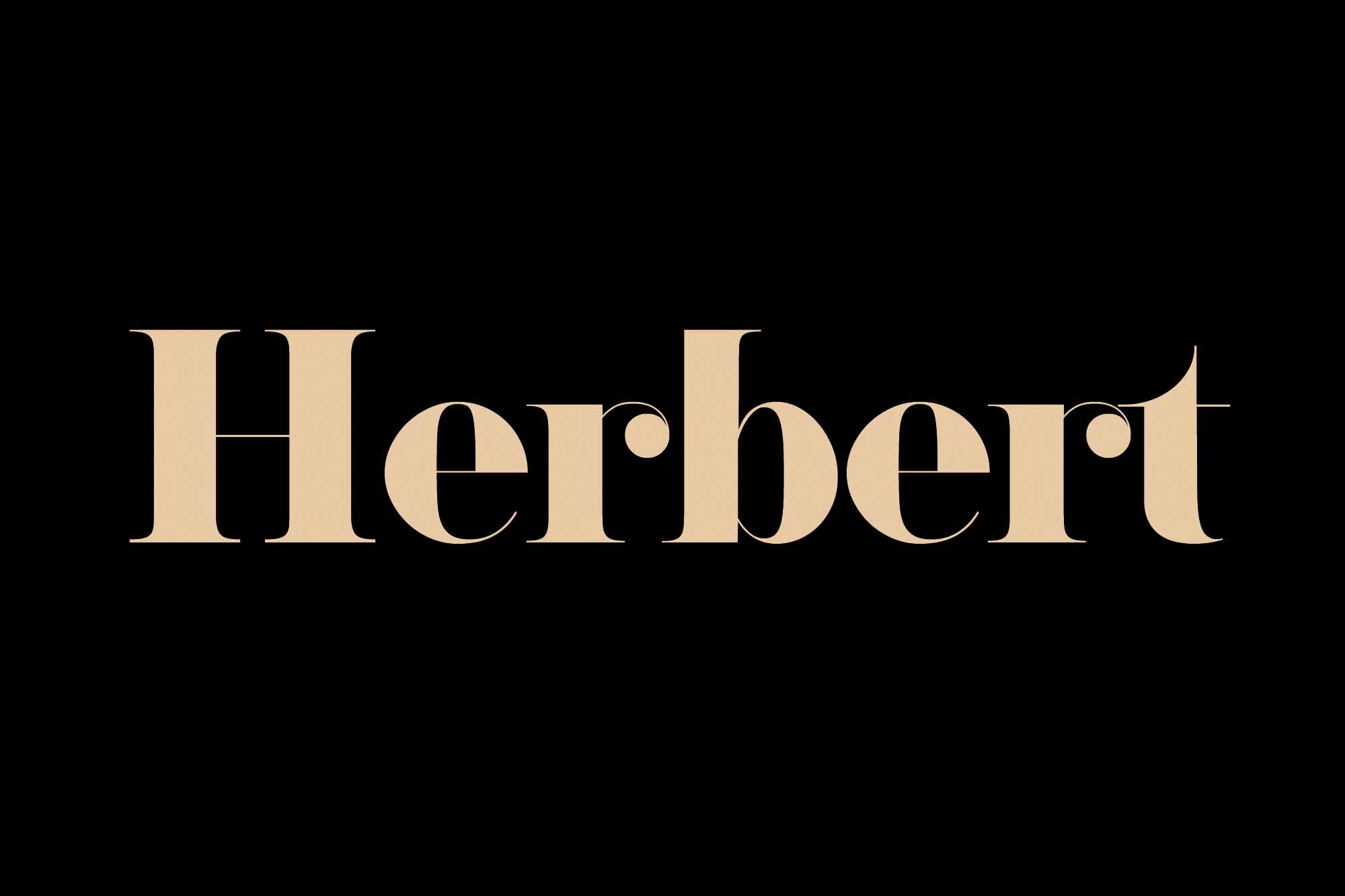 Herbert Serif Font
