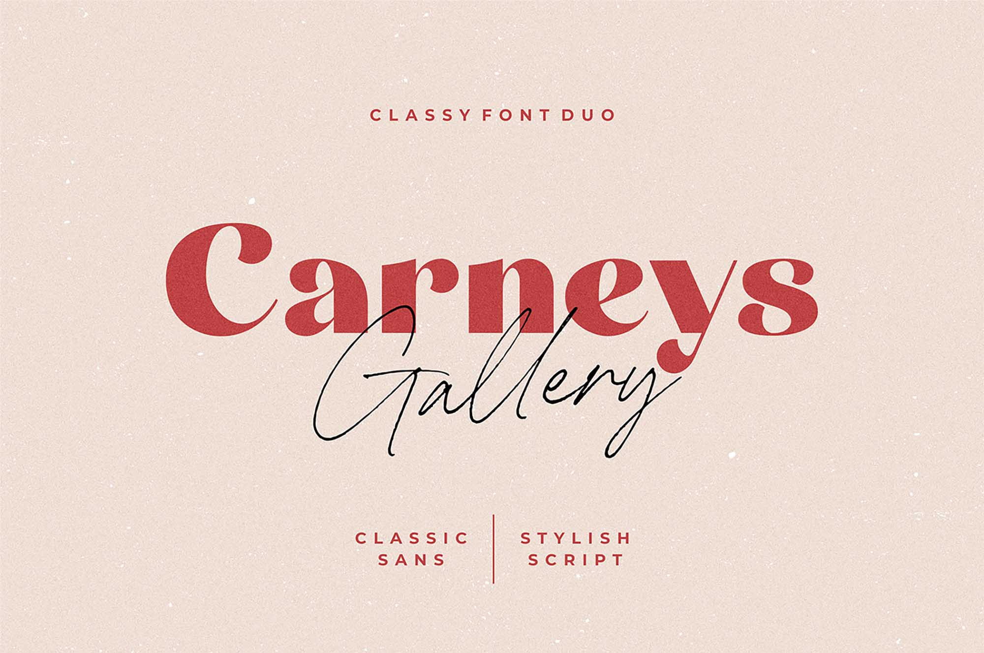 Carneys Gallery Sensitive Font Duo