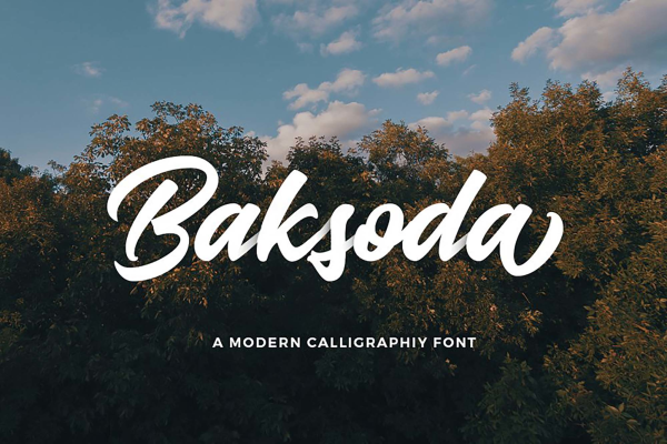 Baksoda Script Font