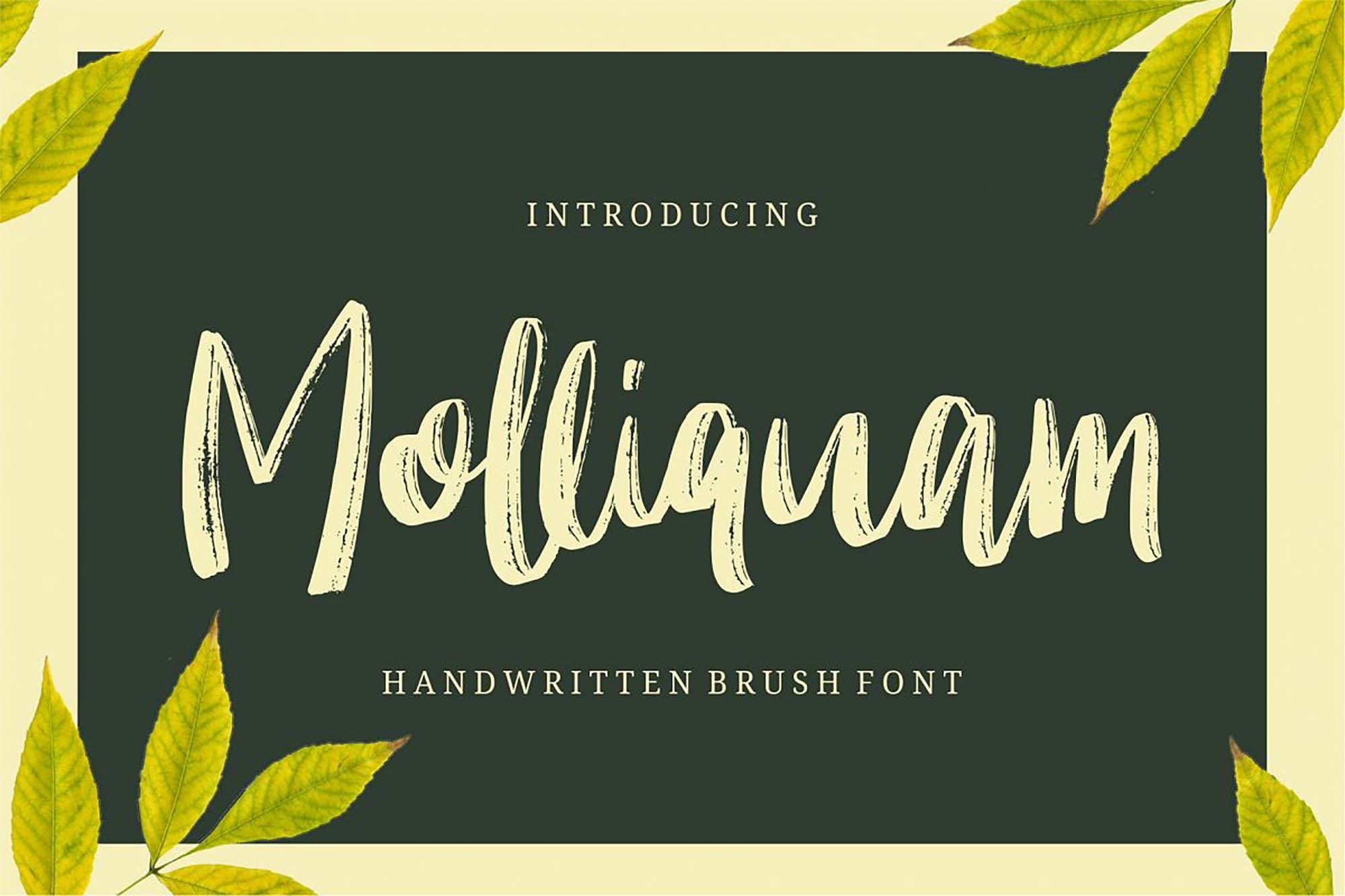 Molliquam Brush Font