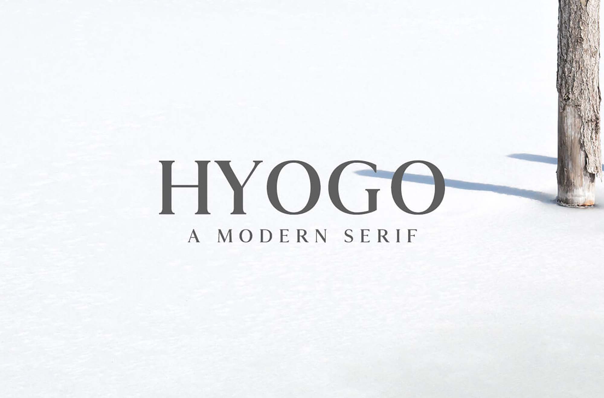 Hyogo Modern Serif Font