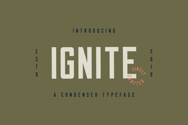 Ignite Sans Serif Font