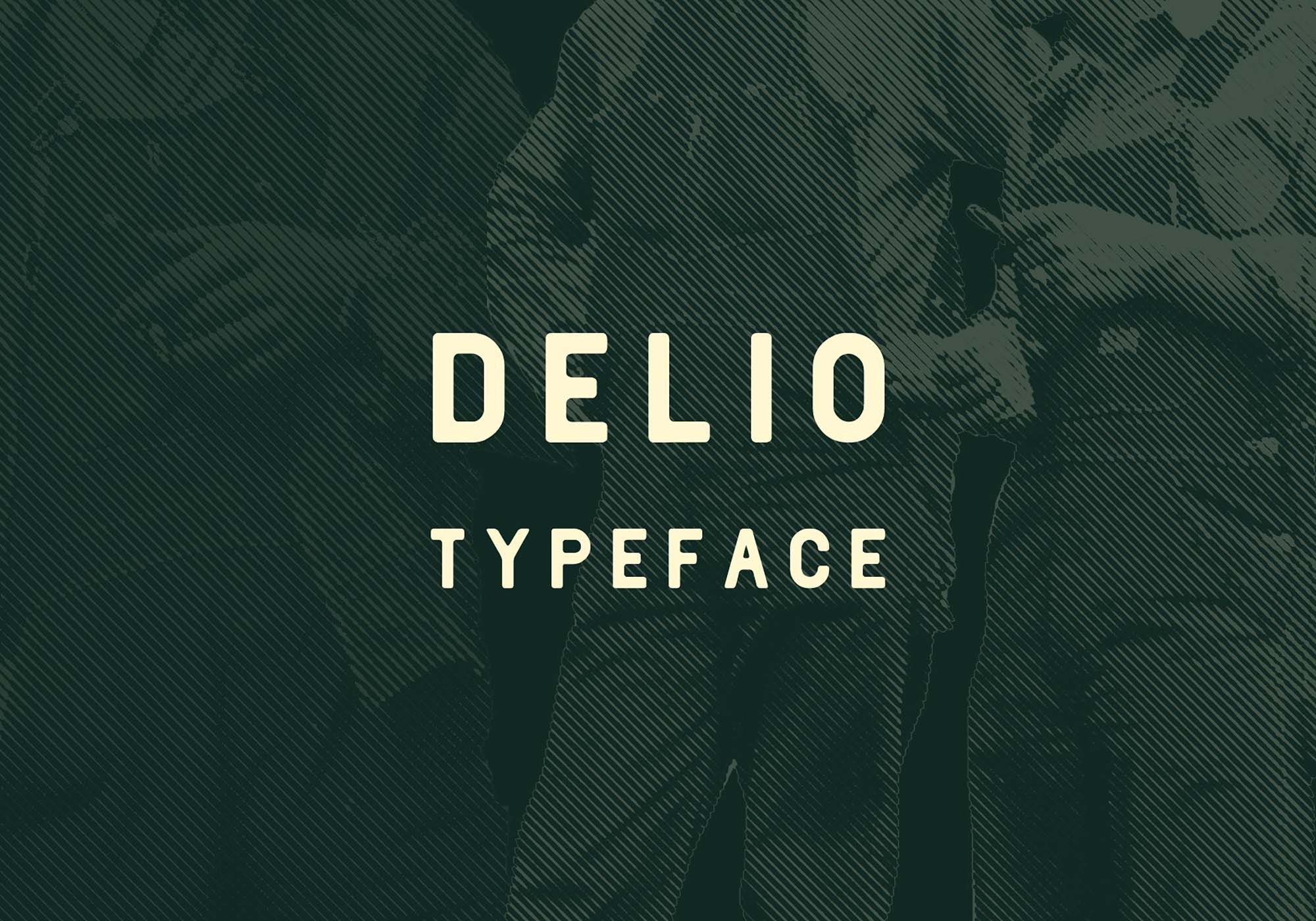 Delio Sans Serif Typeface Font