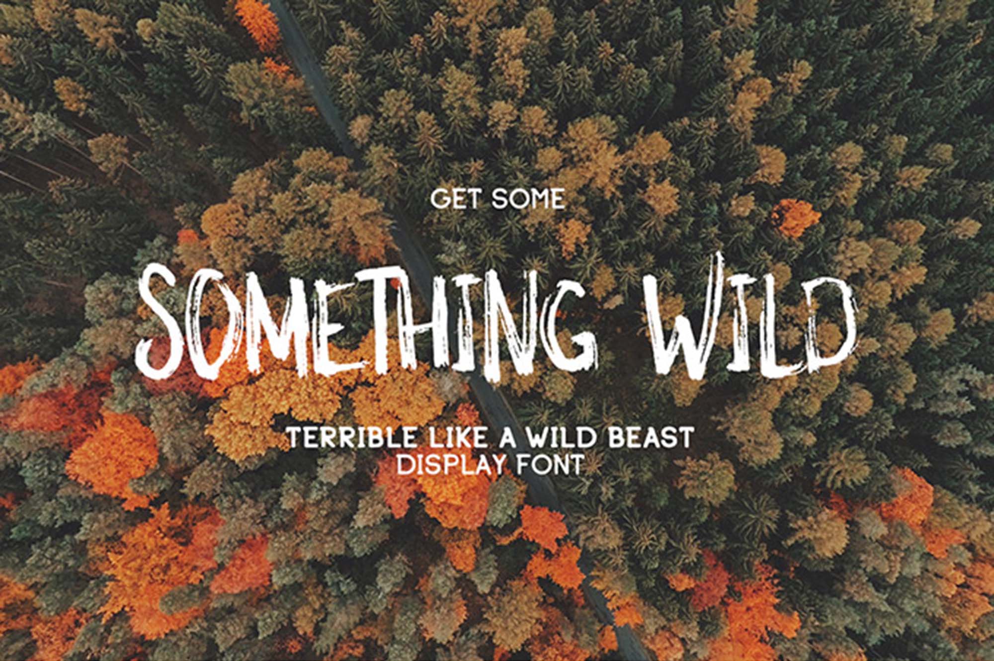 Something Wild Font