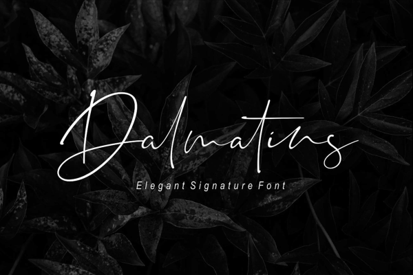 Dalmatins Signature Font