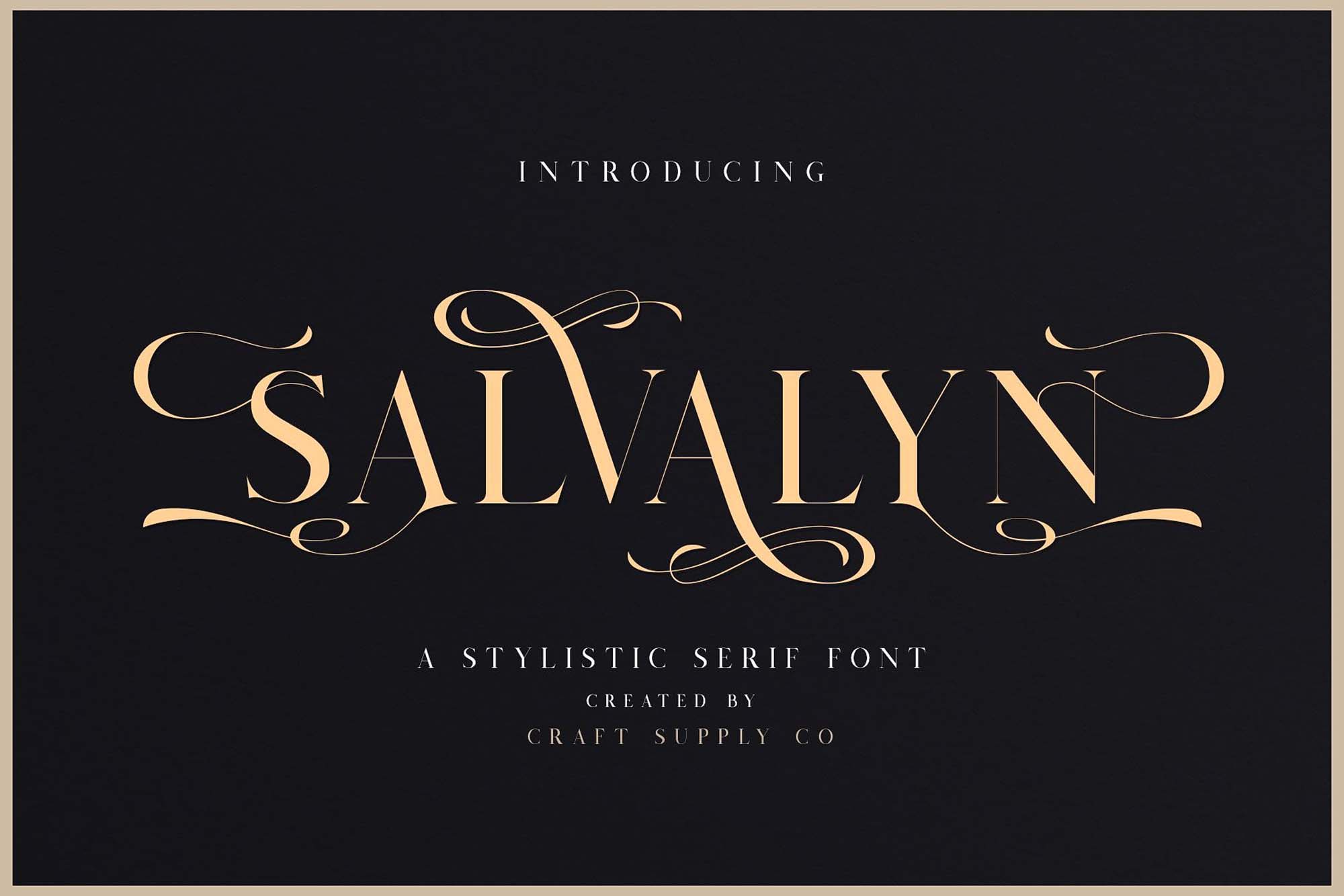 Salvalyn Serif Font & Premium