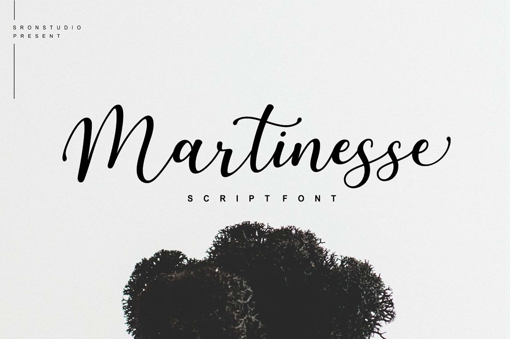 Martinesse Script Font