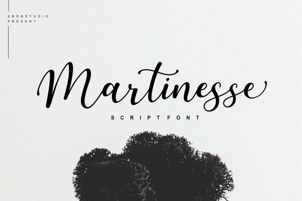Martinesse Script Font