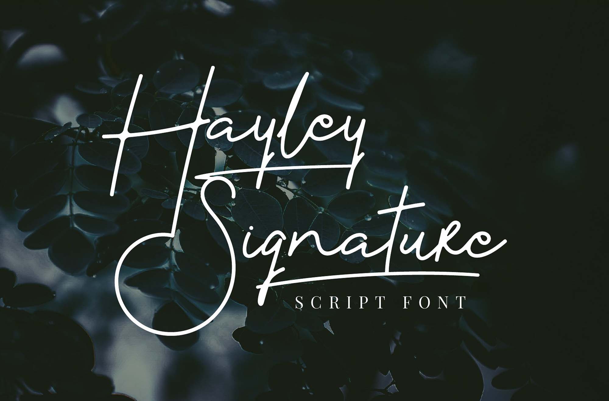 Hayley Signature Script Font