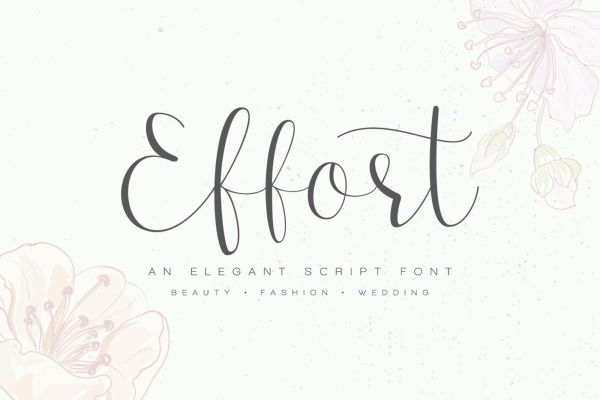 Calligraphy Fonts