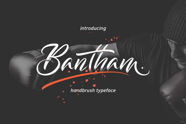 Bantham Hand Brush Font