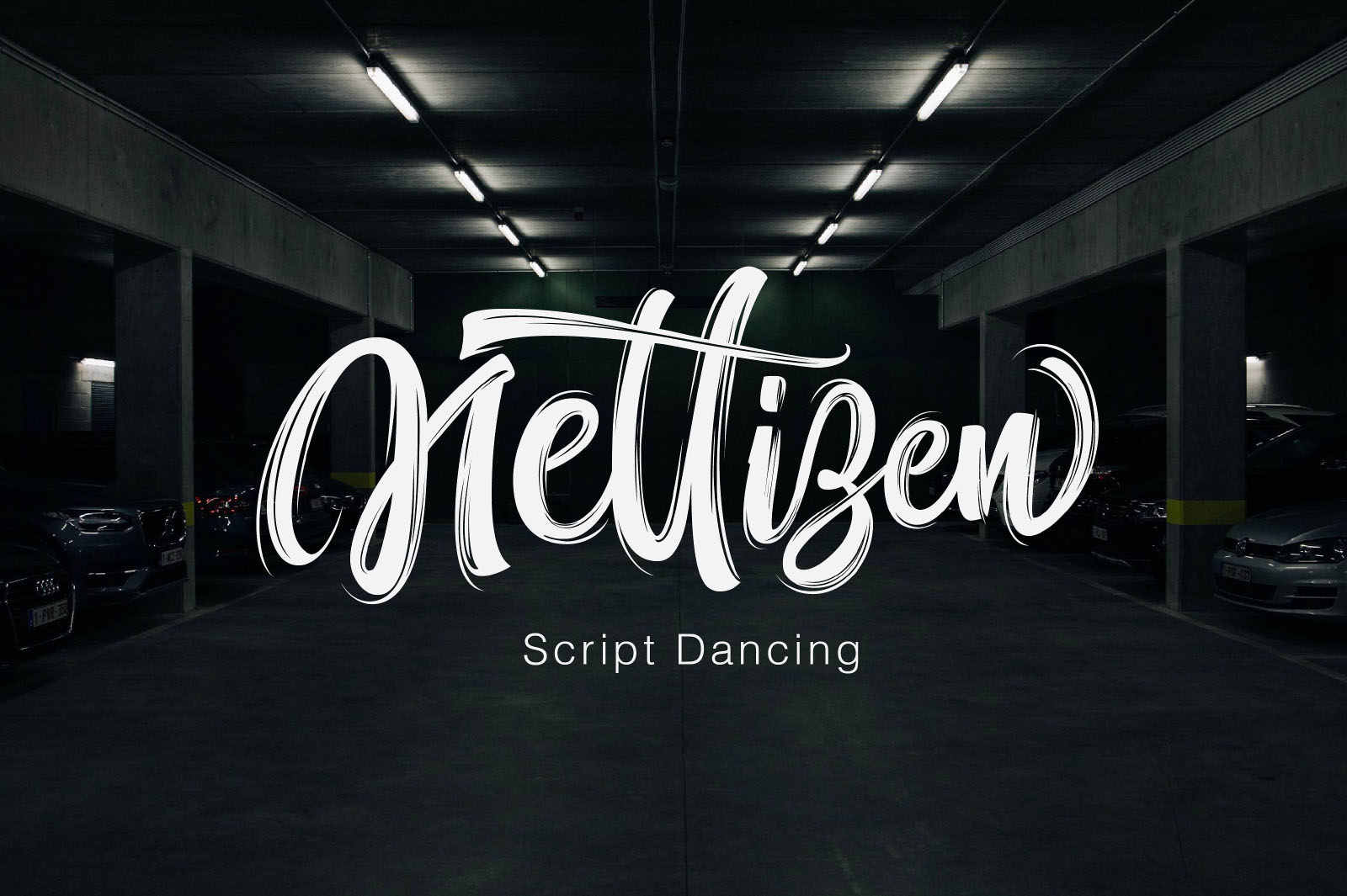 Script Dancing Nettizen Font