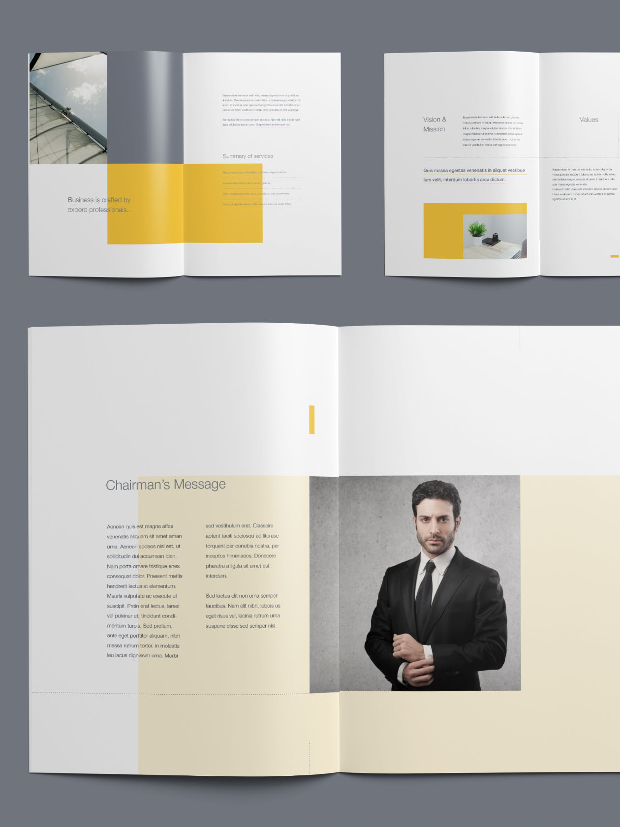 Company Profile Template  AI, SVG, Vector  Free Download  iMockups Within Free Business Profile Template Download