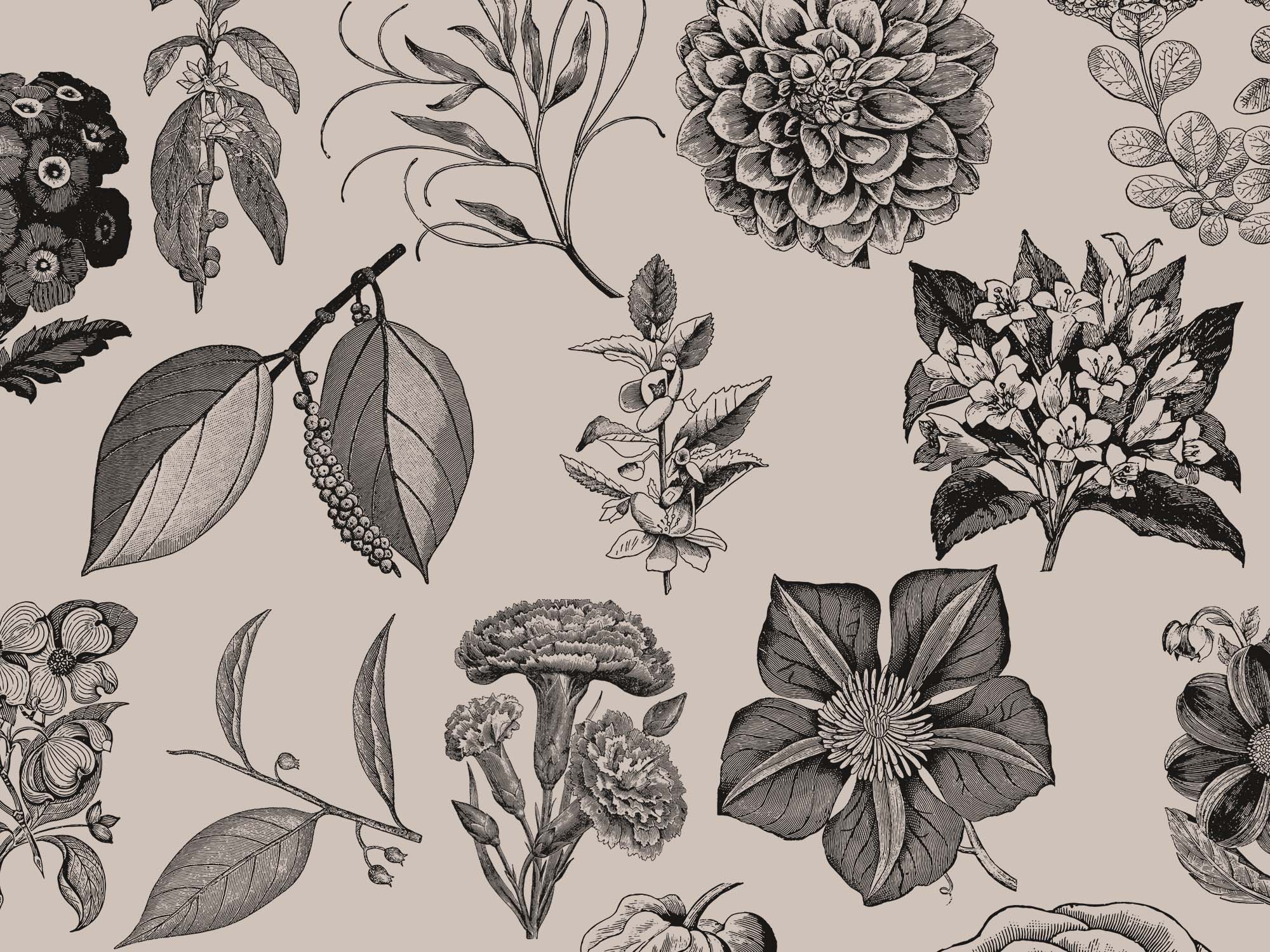 Vintage Flowers Graphic Collection