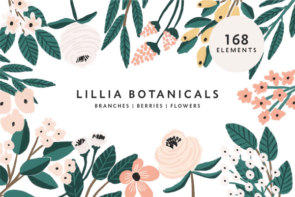 Lillia Floral Illustrations