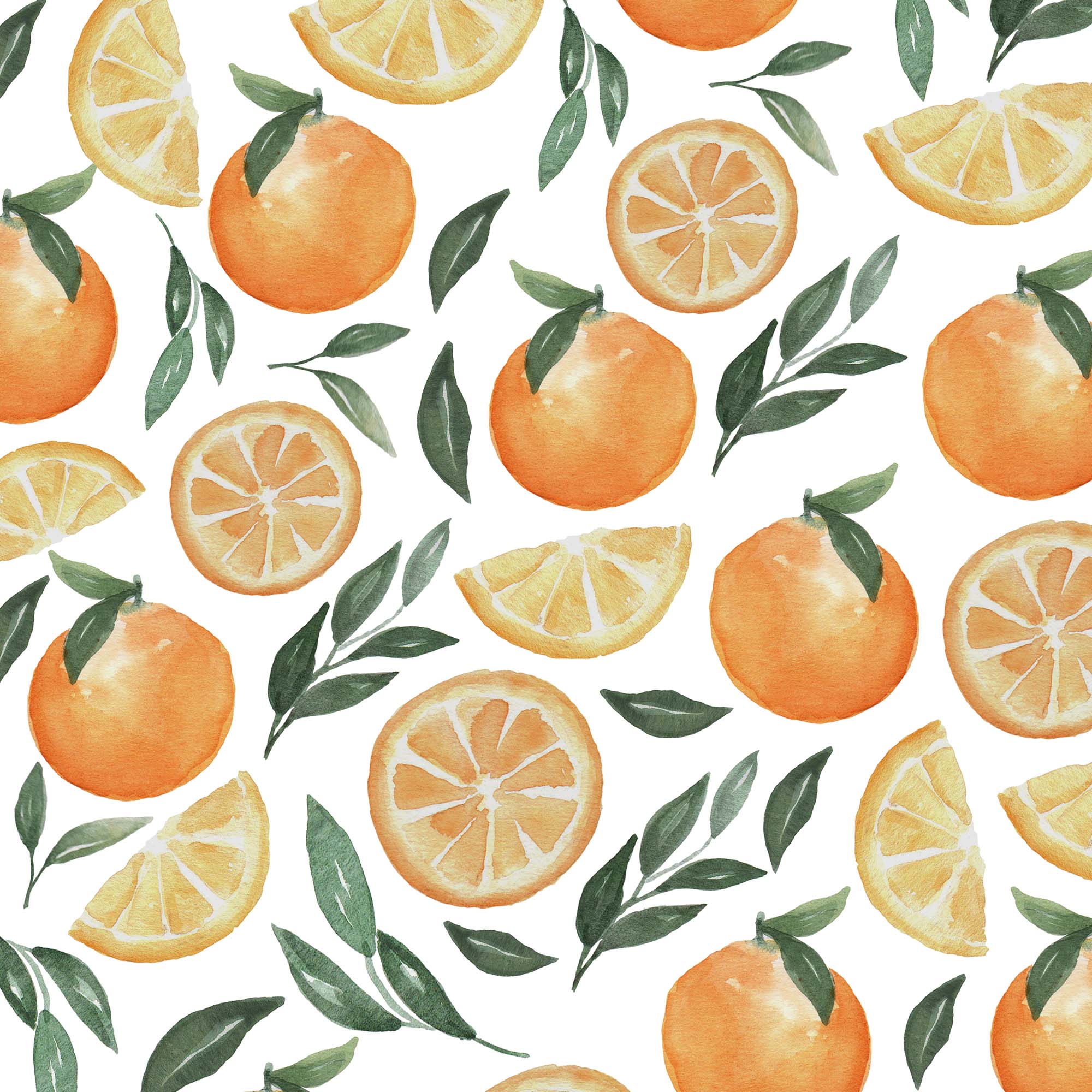 Orange Fruit Watercolor Clipart Patterns