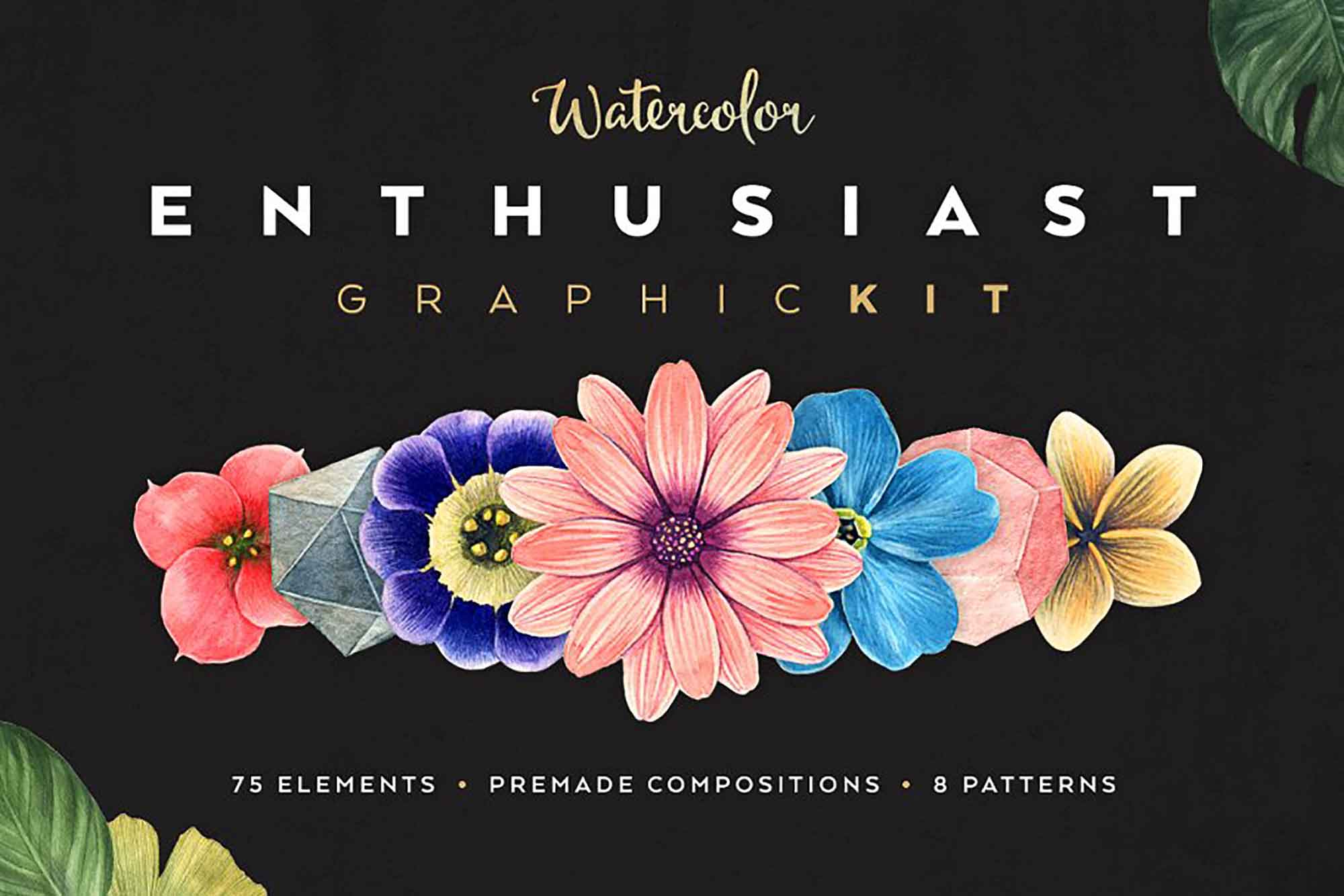 Watercolor Enthusiast Graphic