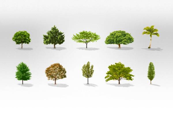 Vector Trees Collection