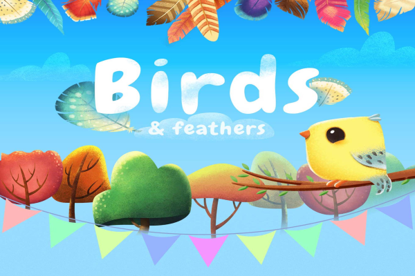 Birds & Feathers Graphic Pack