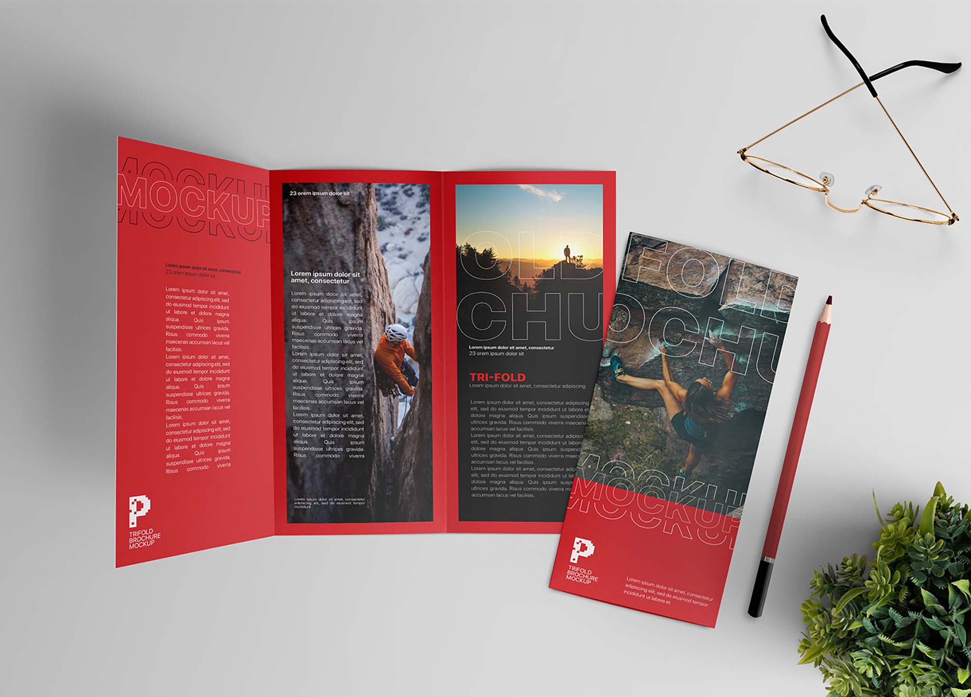 Trifold Brochure Mockup Scene