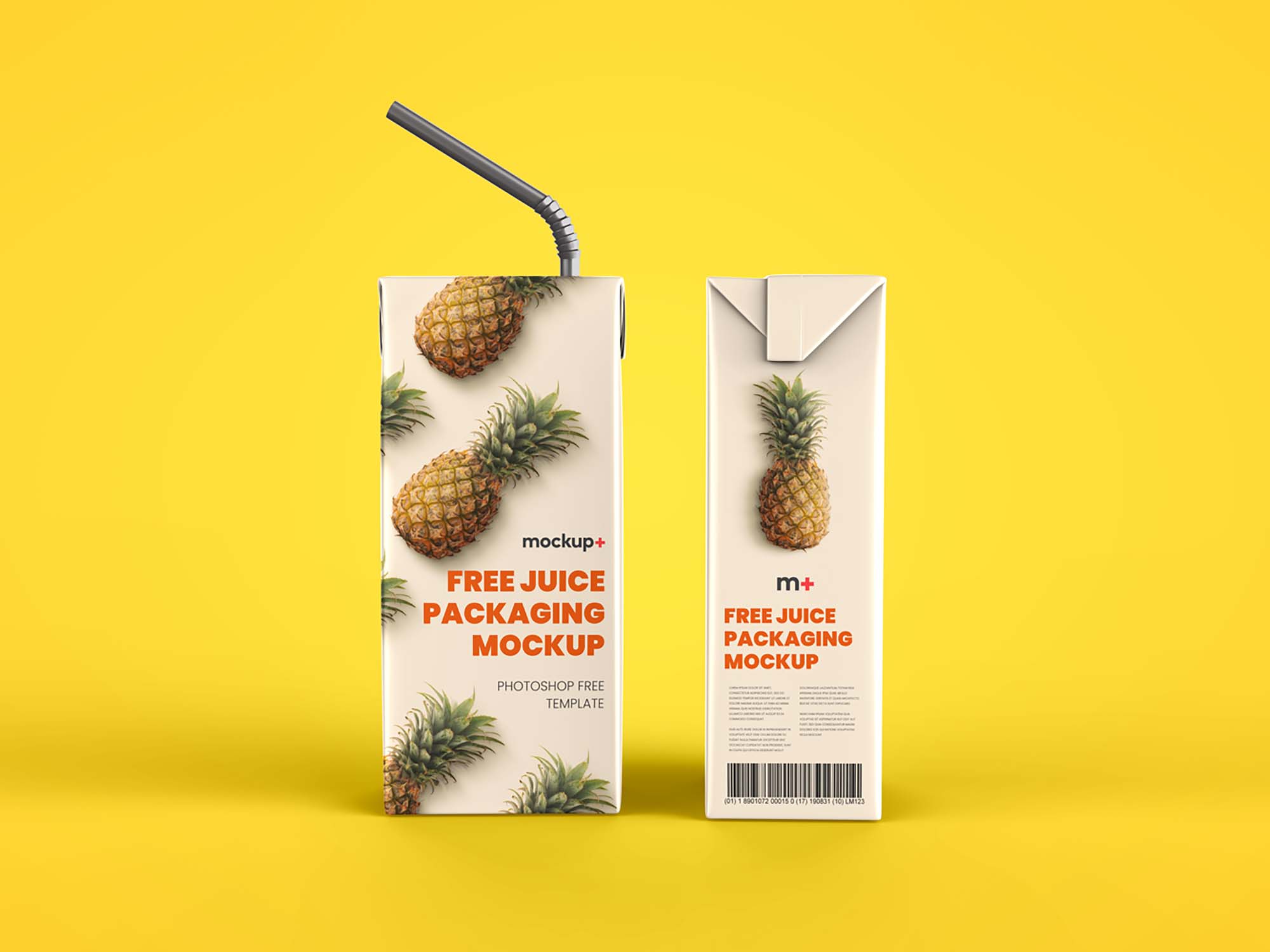 New Juice Carton Packaging Box Mockup